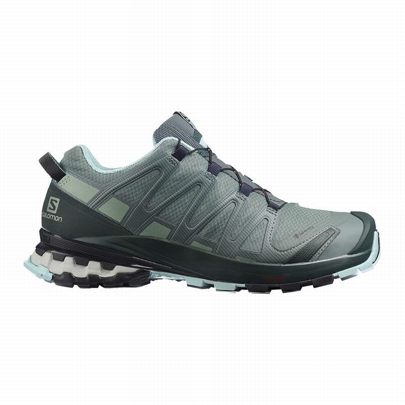 Salomon Trail Løbesko Dame Grøn - XA PRO 3D V8 GORE-TEX (TCAZE-9031)